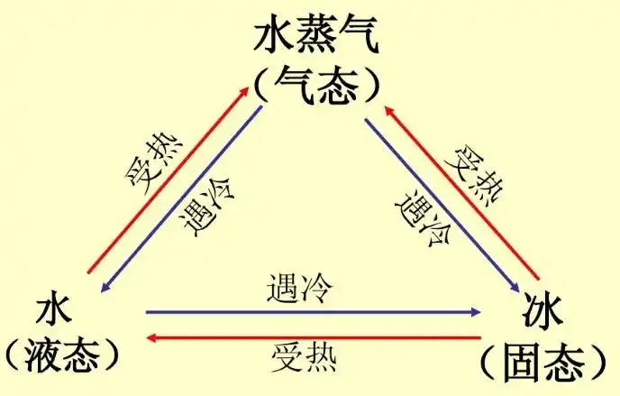 (青岛版)五年级科学上册知识点汇总_寿光教育云