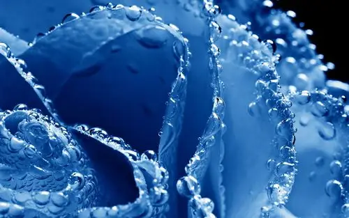 有各种淡蓝色壁纸,纯蓝色壁纸,深蓝色壁纸,天蓝色壁纸,还有蓝色壁纸