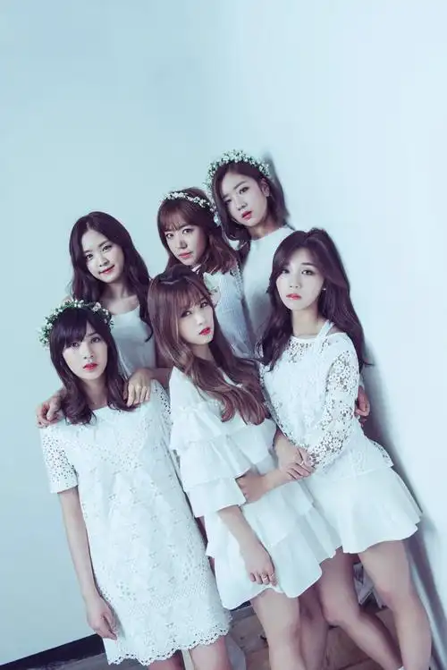 apink 朴初珑 尹普美 郑恩地 孙娜恩 金南珠 吴夏荣