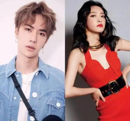 宋轶王一博王一博搭档大8岁宋轶先婚后爱太精彩