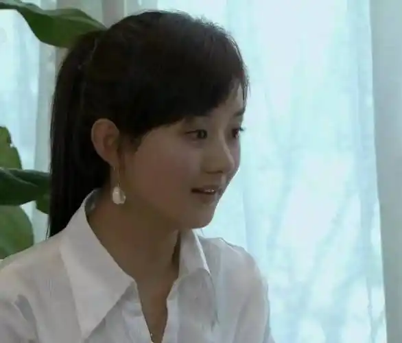 圈内人物之赵丽颖,连续霸榜被嘲土气,离婚后冷艳回归_dior_传奇_因为