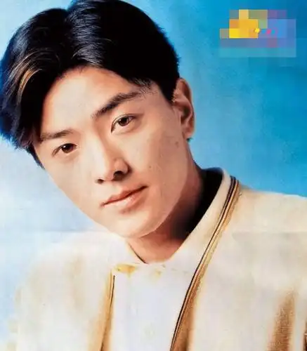 发型,面相力证! 8,90年代男星这样红不是无原因