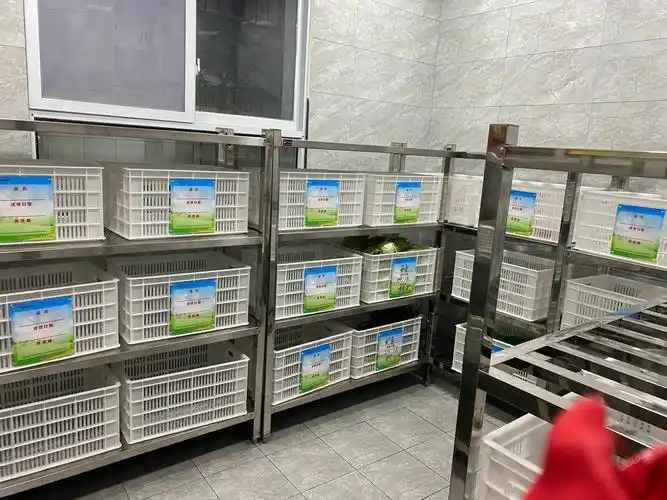 与食堂零距离接触,感受温馨校园