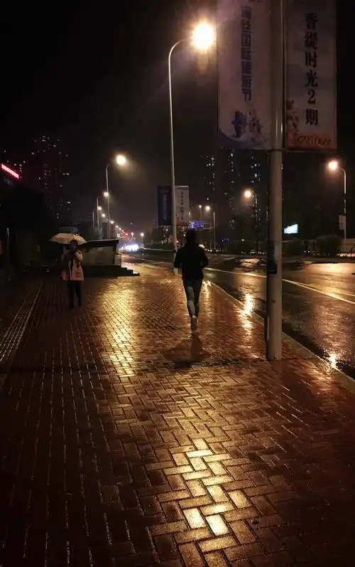 每日一拍066雨夜