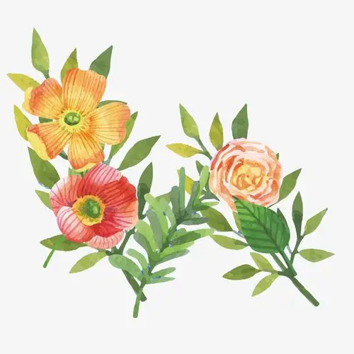 2732704547,我们尽快处理 下载高清png 100 编号rlqxfgmohy 格式png