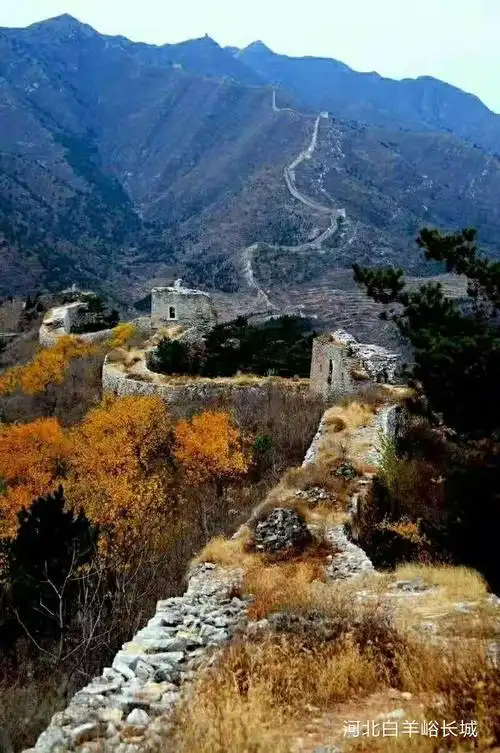 穿越辽宁五连台长城山下山楂树林好玩耍,落叶红果落到