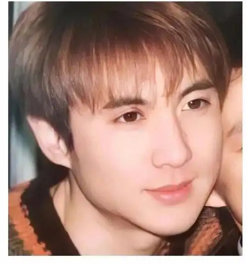 沈腾已经是一名大叔了,皱纹也多了起来,不过年轻时候也是一名帅气的小