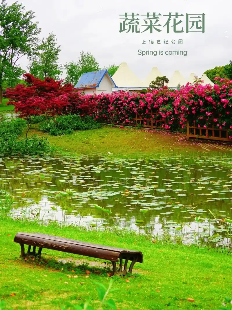 "世纪公园蔬菜花园"get最美花墙.72【景点攻略】世纪公园- - 抖音