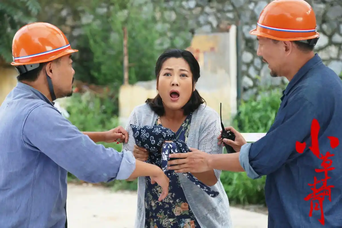 小草青青精彩剧照