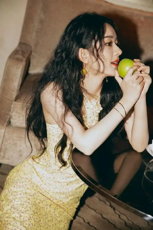 赵丽颖最新写真曝光 一身碎花长裙清新又复古-点点华夏网