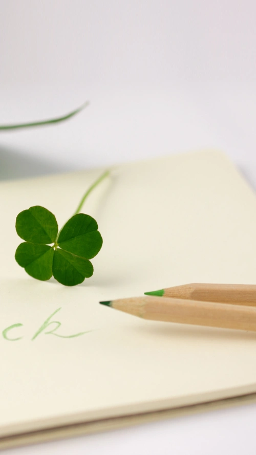 幸运草休闲时光h5背景