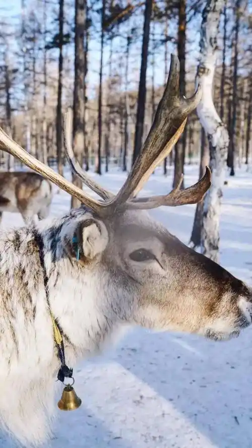 冬日私藏全球七大冰雪秘境,你打卡过几个?_温泉_极光_雪场