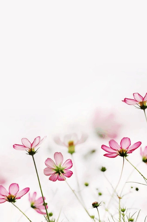 640_969竖版 竖屏