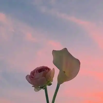 有意境的简约风景头像