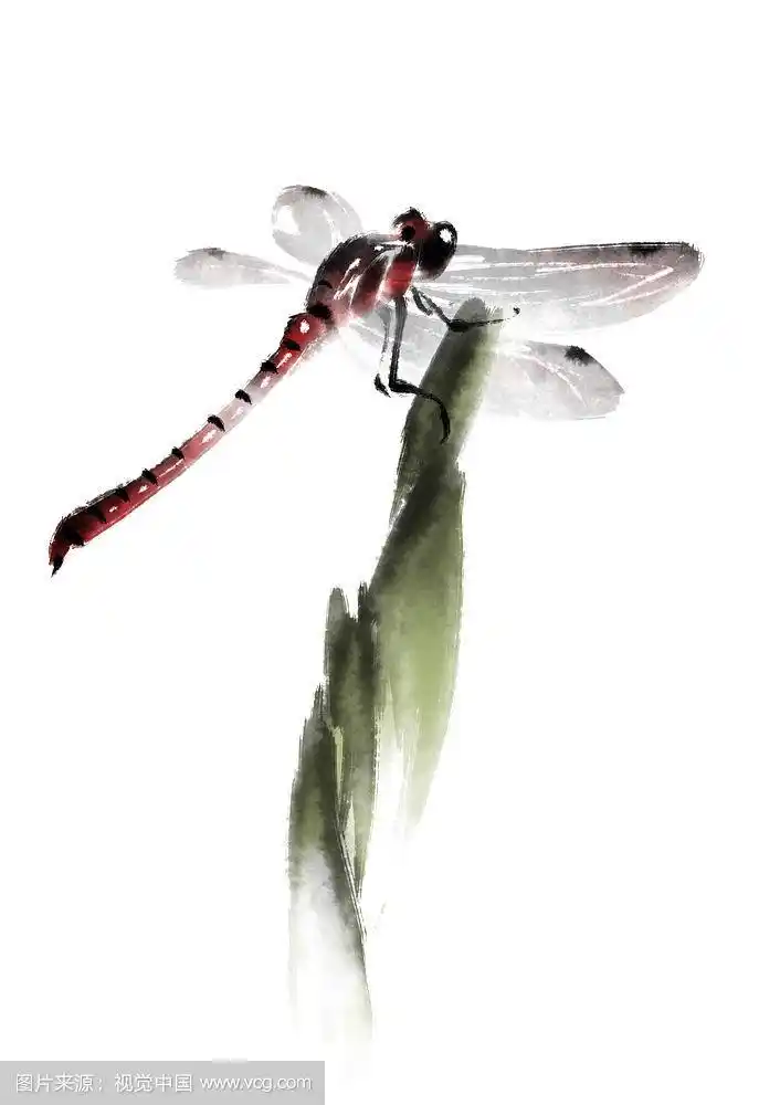 《蜻蜓水墨画》