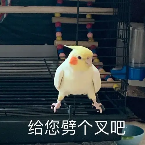 组里有表演劈叉的了那我们表演个压腿吧