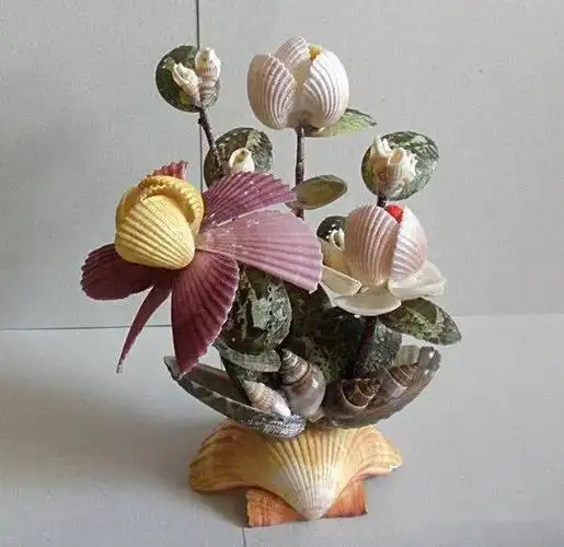 海边捡回家的贝壳粘起来一不小心成了艺术家