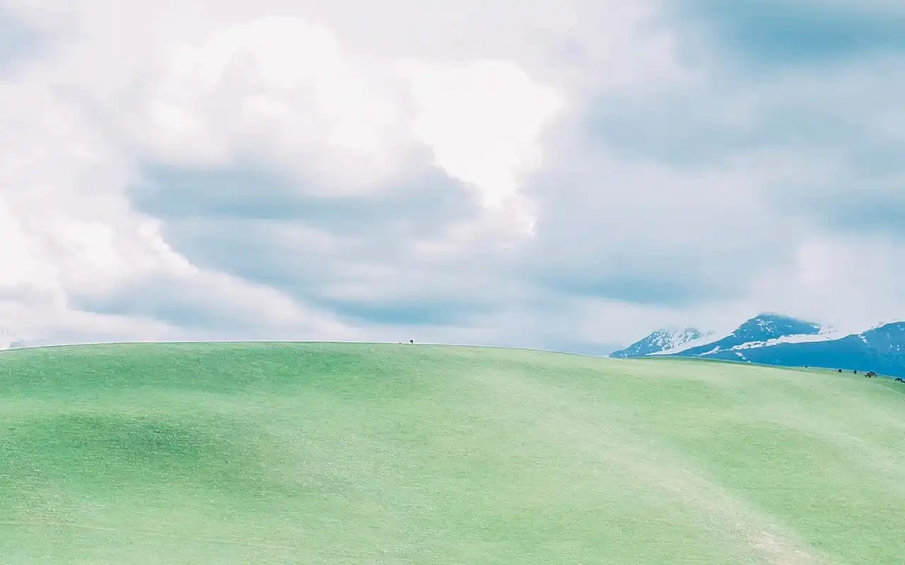 小清新草原简约唯美高清桌面壁纸