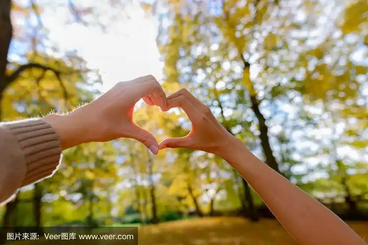 一对情侣一起做手心手势,向天空与风景优美的高大秋树和阳光透过树叶