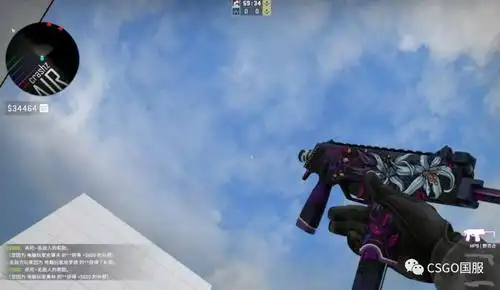 皮肤控第60期基佬紫芭比粉的csgo世界ct装备篇