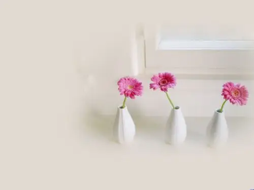 静物优雅背景图片