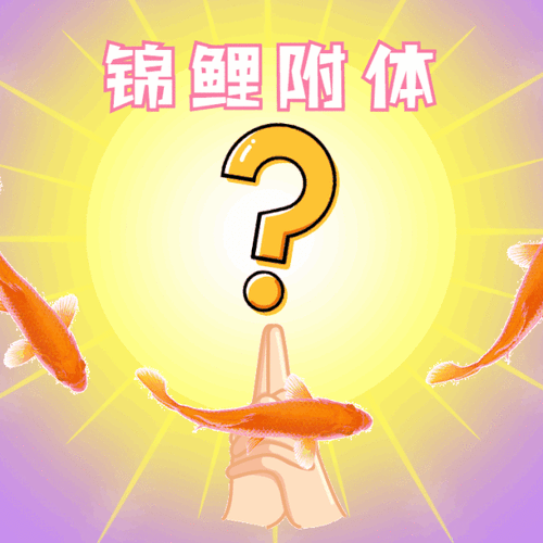 拆装路径怎么寻找_寻找家装超级锦鲤丨你的家,我全包了!