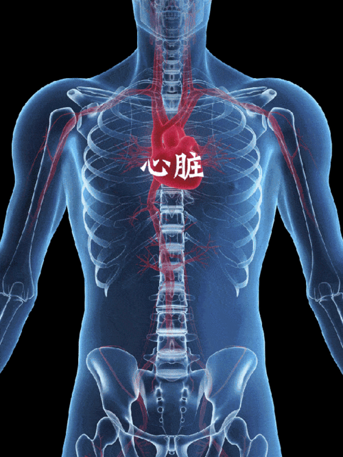 世界心脏日,全世界为你心动_手机搜狐网