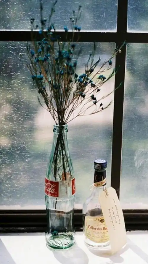 文艺清新的静物摆拍,高清图片,手机壁纸