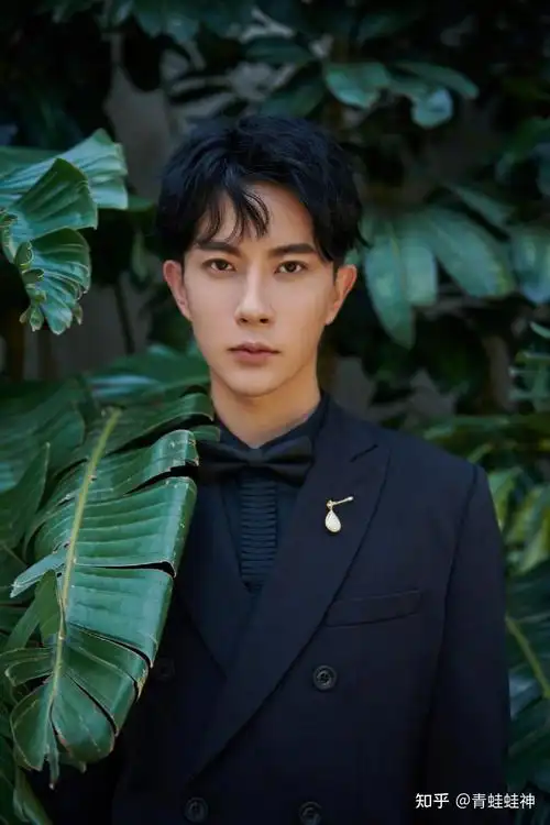 中国34省最帅男明星代表不服来辩