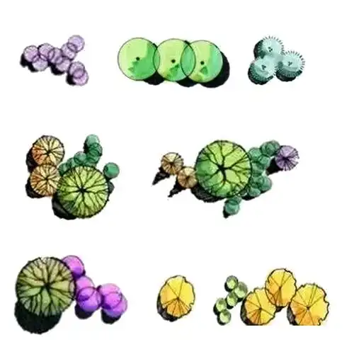 景观设计考研快题手绘/平面图手绘/植物配置组合形式