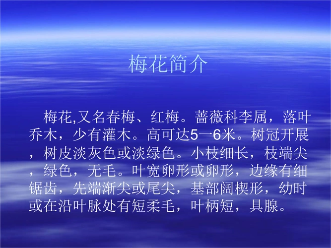 花卉:梅花简介.ppt