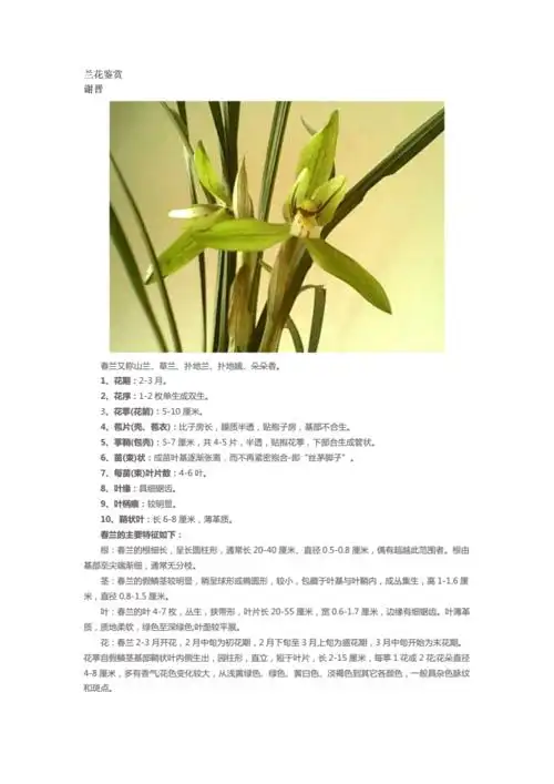 【2018年最新整理】兰花鉴赏.docx 86页