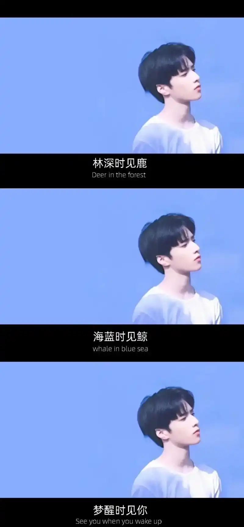 今天就搞个壁纸总和吧.#神仙爱豆 #刘耀文 #壁纸 #fyp - 抖音