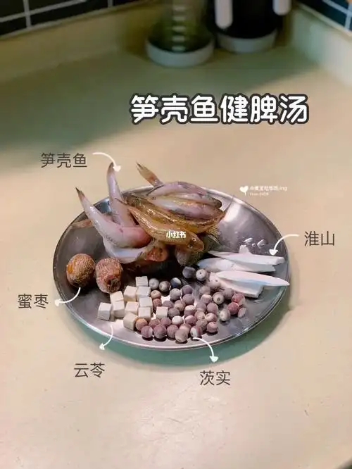 91饮汤啦～～～阿妈叫你饮～～『笋壳鱼』最近真的很难遇见,可遇不