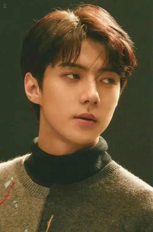 exo最新高清图片   最爱的少年