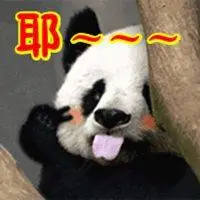 比耶的搞笑表情包_微信头像图片大全