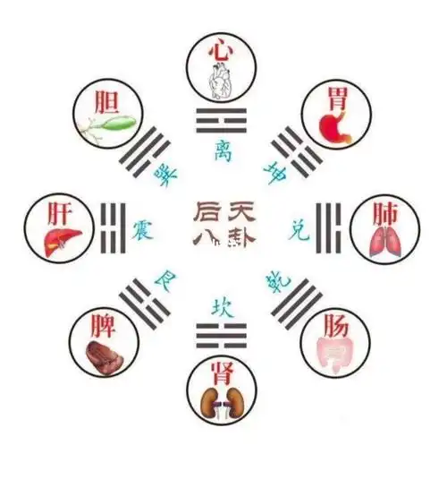 八卦对应五脏六腑