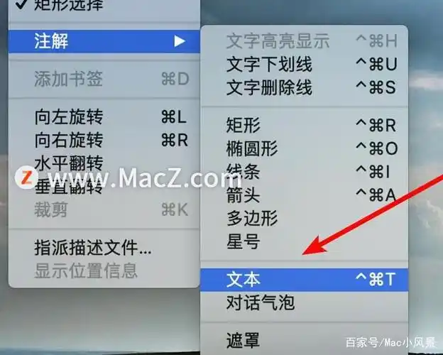 在mac电脑里如何快速给图片添加文字?