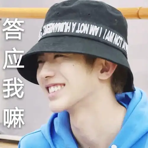 可爱小葵表情包