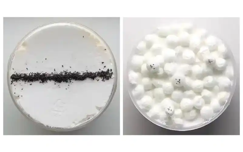 白色系史莱姆 各种质感24(13ˊ53ˋ)13* 1679