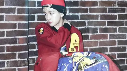 韩国超人气组合exo正规一辑边伯贤帅气电脑壁纸下载