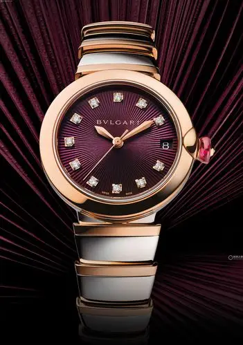 宝格丽lvcea系列10249712