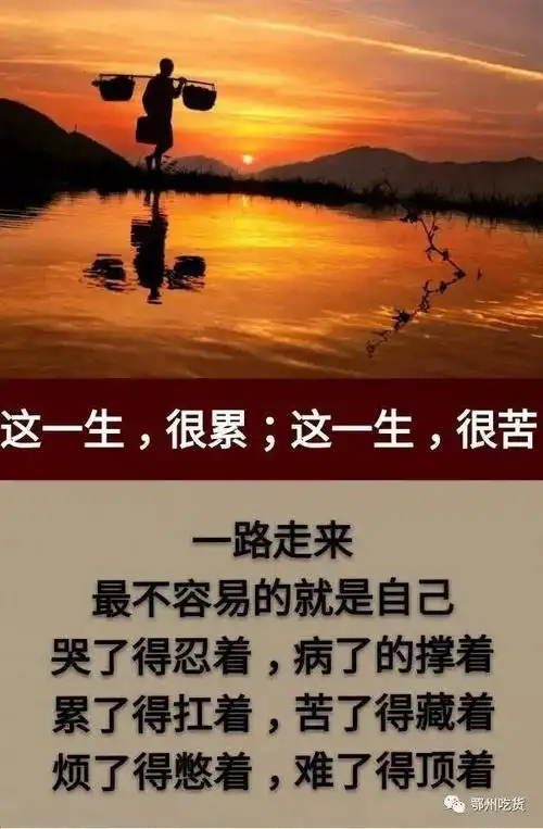 这一生,很累;这一生,很苦;这一生,很难;这一生,很短!「句句入心」