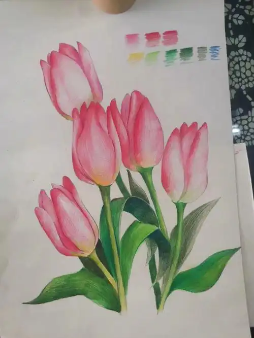 适合初学者的彩铅系列手绘课程植物篇2