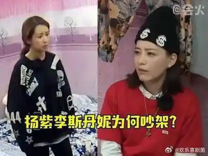 考古杨紫 ……考古杨紫 ,李斯丹妮 综艺吵架,结果竟然是为了准备惊喜