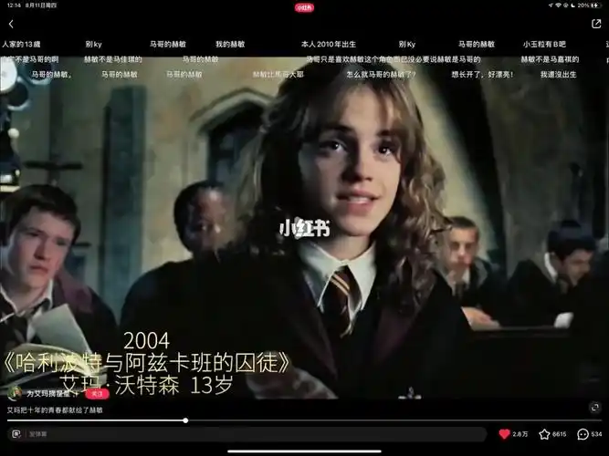 《马哥的赫敏》91长篇大论