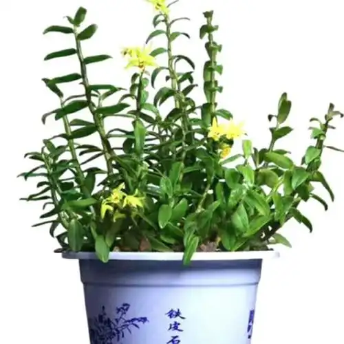 夕瑶-叹这一生- 全民k歌,ktv交友社区