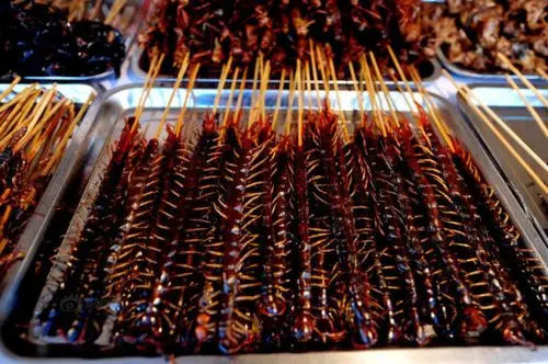 黑暗料理强势来袭,看你敢吃哪样?