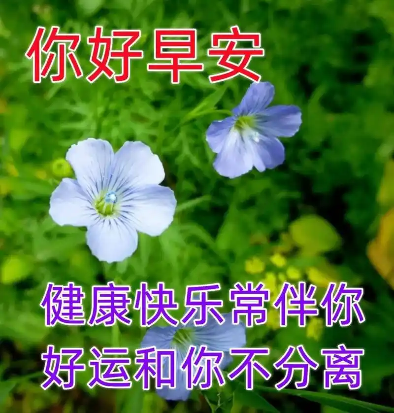 早上好最美风景图片大全漂亮 夏天早上好最美图片大全 1,一生之路