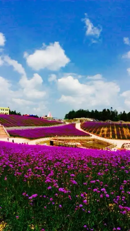 赞中国最美小地方